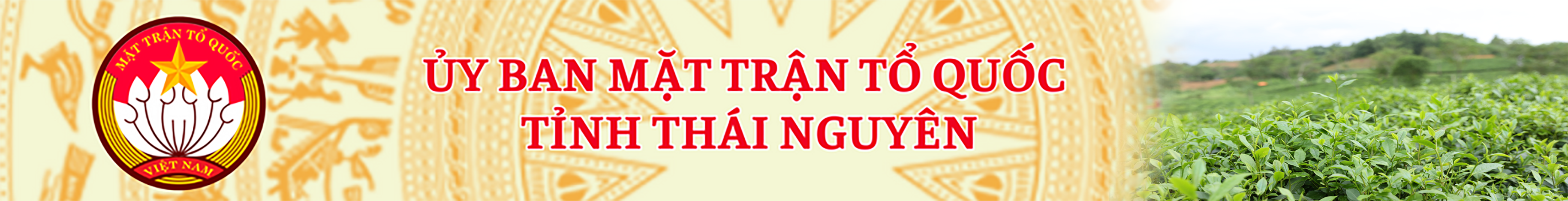 image banner